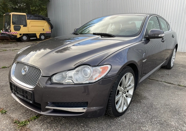 Jaguar XF cena 16700 przebieg: 244580, rok produkcji 2008 z Nysa małe 466